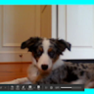 Meet your Posher, Davis